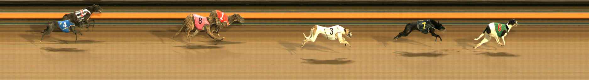 Photo finish for Ballarat Race 14