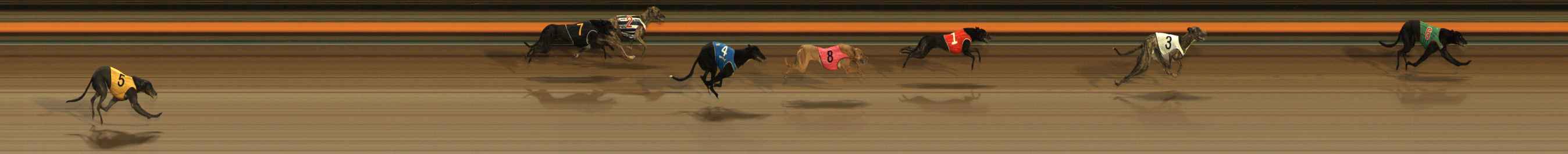 Photo finish for Ballarat Race 2