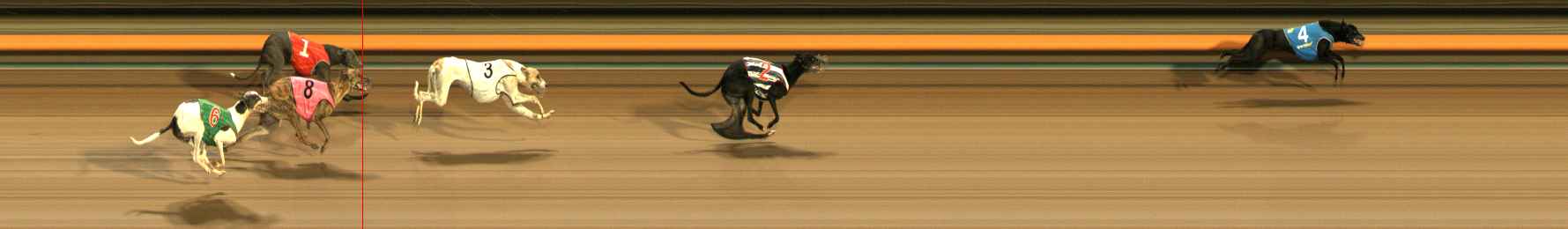 Photo finish for Ballarat Race 6