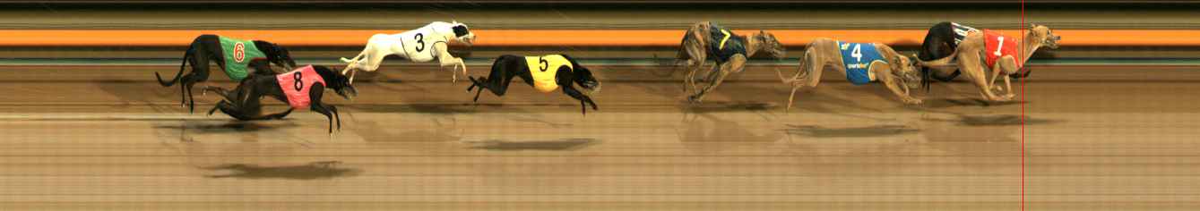 Photo finish for Ballarat Race 8