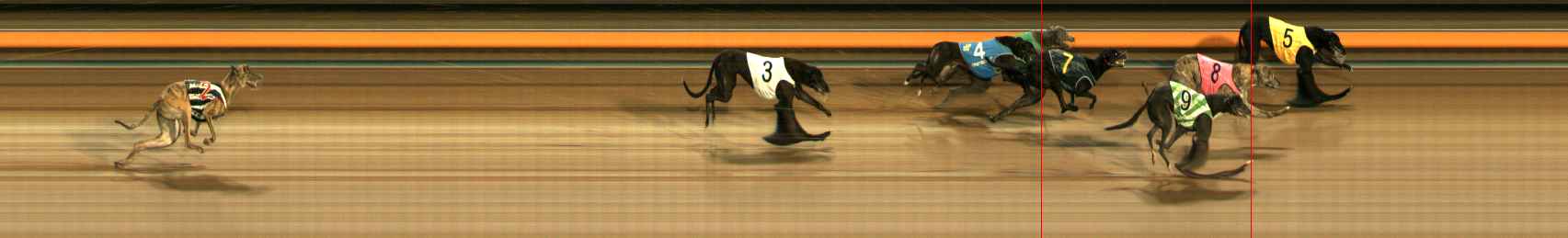Photo finish for Ballarat Race 10