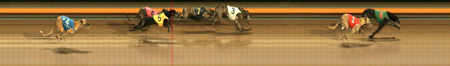 Photo finish for Ballarat Race 11