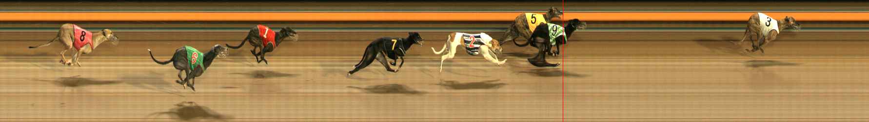 Photo finish for Ballarat Race 12