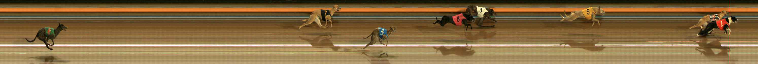 Photo finish for Ballarat Race 3
