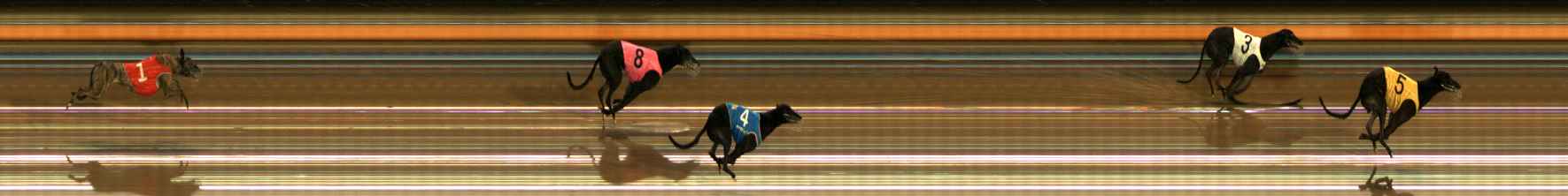Photo finish for Ballarat Race 4