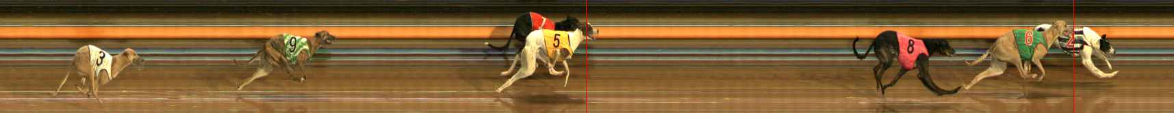 Photo finish for Ballarat Race 6