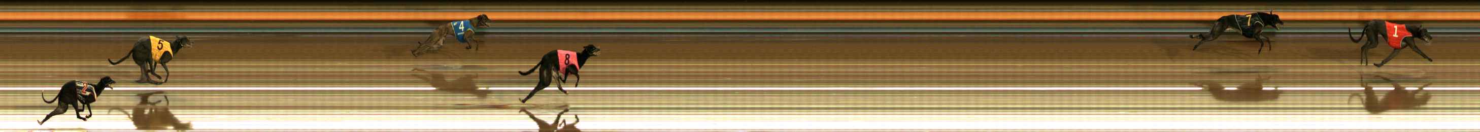 Photo finish for Ballarat Race 7