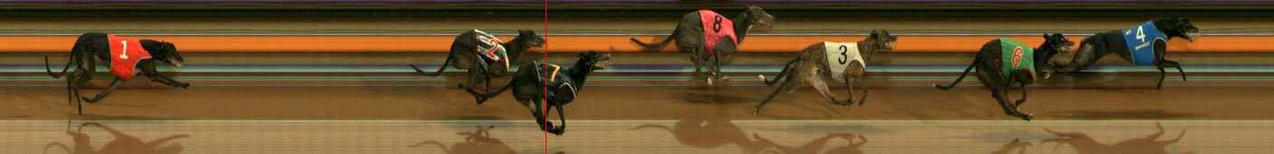 Photo finish for Ballarat Race 8