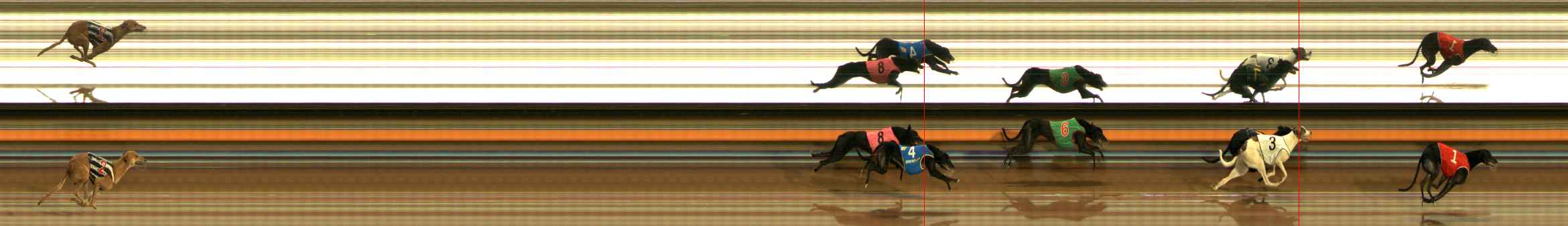Photo finish for Ballarat Race 9