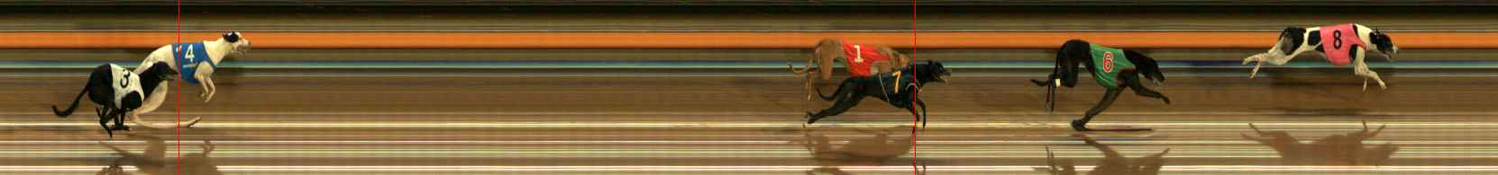 Photo finish for Ballarat Race 12