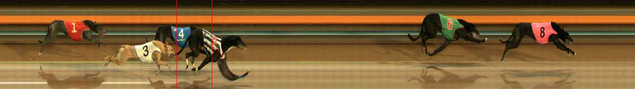 Photo finish for Ballarat Race 13