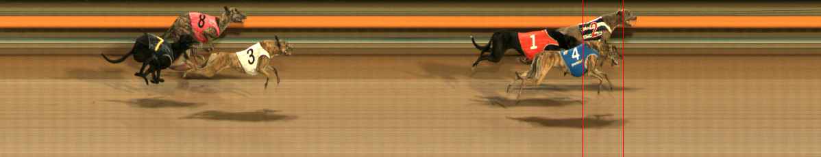 Photo finish for Ballarat Race 2