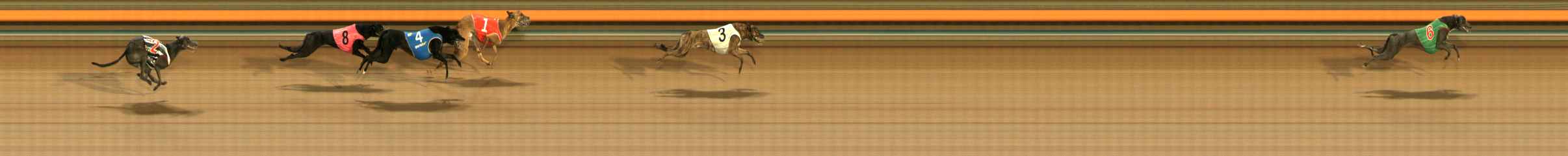 Photo finish for Ballarat Race 6