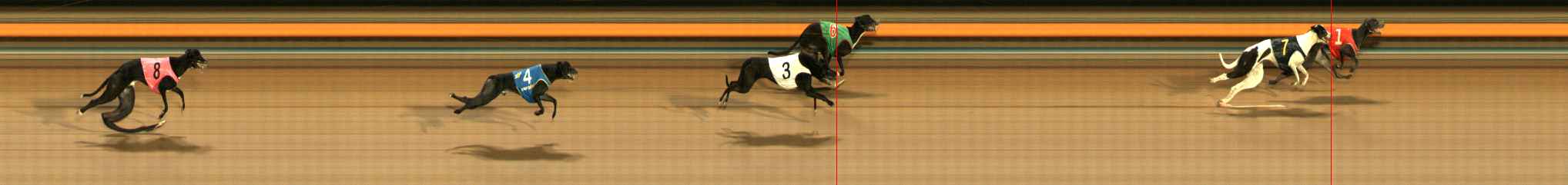 Photo finish for Ballarat Race 10
