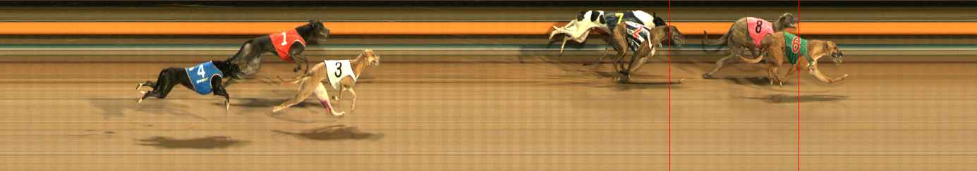 Photo finish for Ballarat Race 12