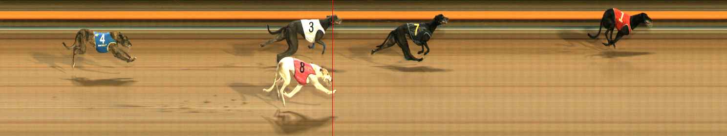 Photo finish for Ballarat Race 13