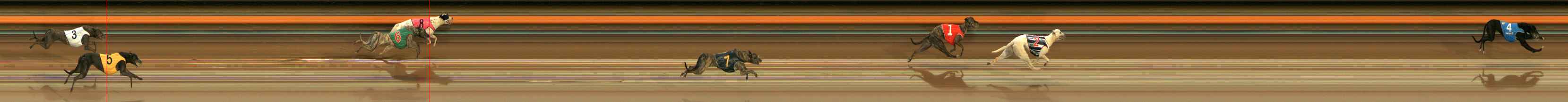 Photo finish for Ballarat Race 1