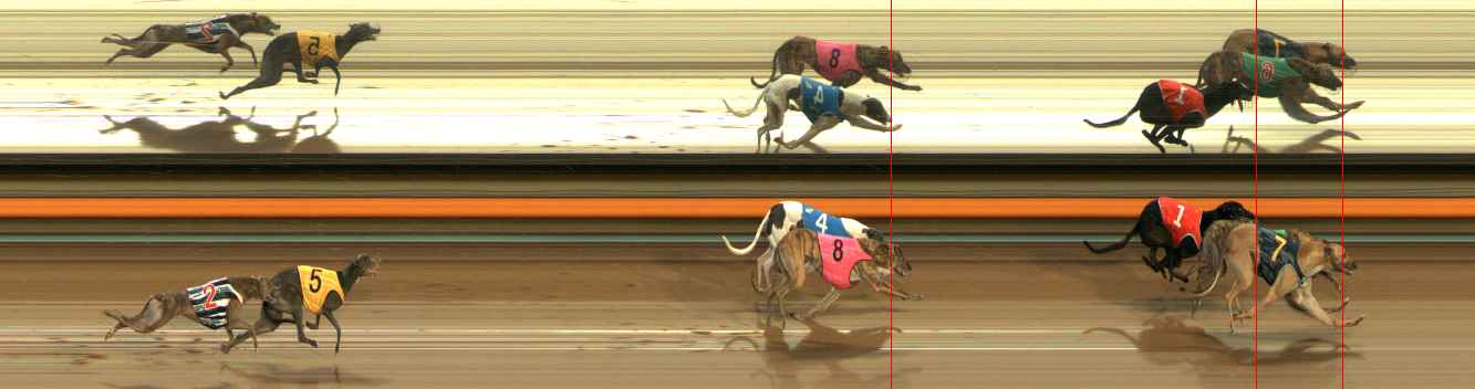Photo finish for Ballarat Race 2