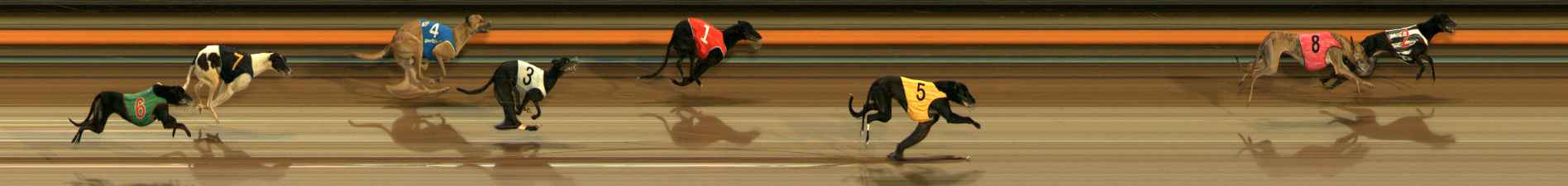 Photo finish for Ballarat Race 3