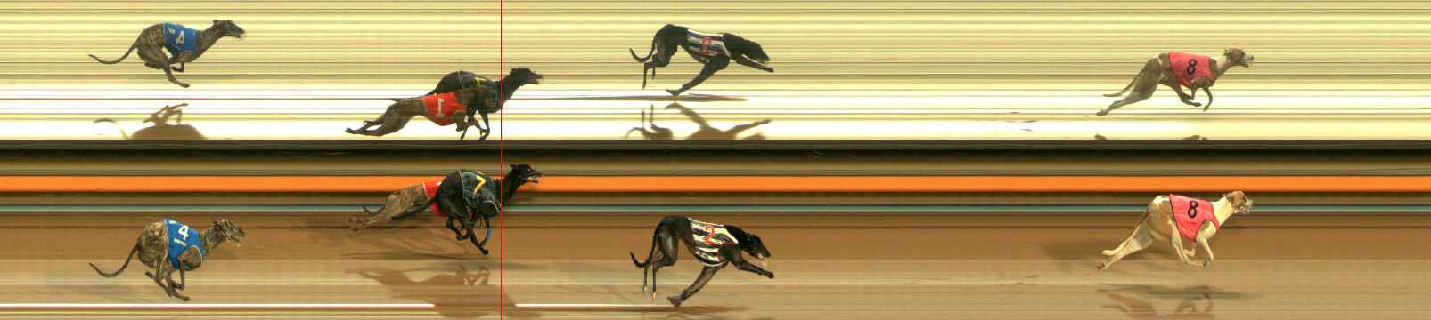 Photo finish for Ballarat Race 6