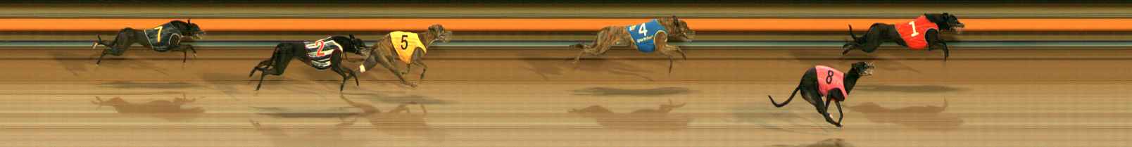 Photo finish for Ballarat Race 7