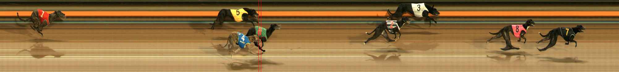 Photo finish for Ballarat Race 10