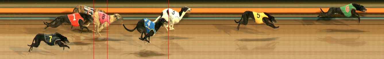 Photo finish for Ballarat Race 11