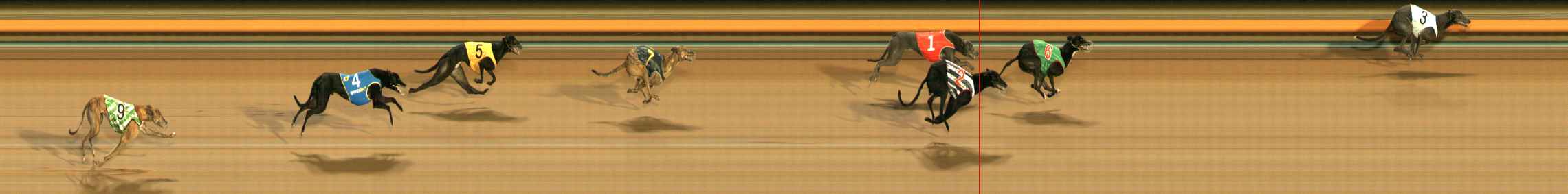 Photo finish for Ballarat Race 6