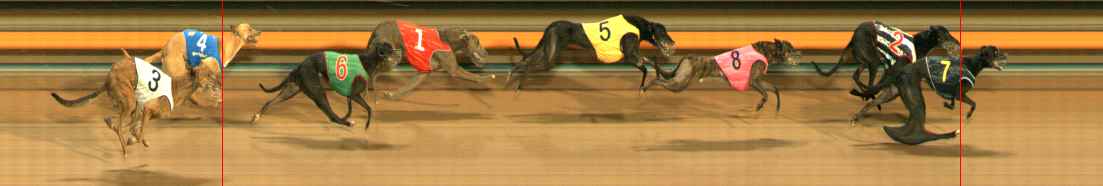 Photo finish for Ballarat Race 10