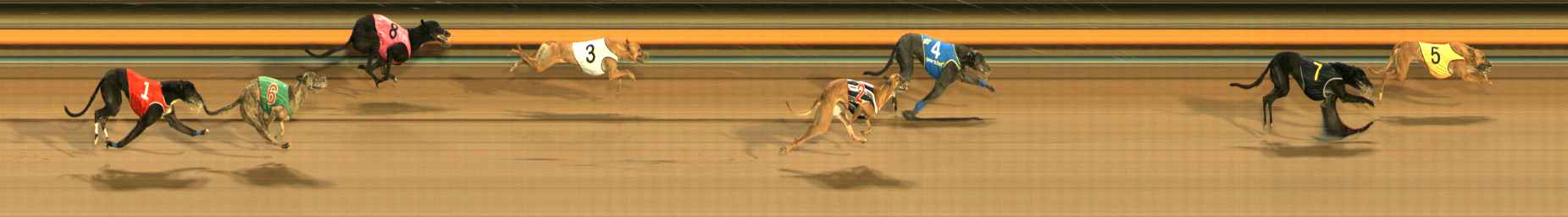 Photo finish for Ballarat Race 13