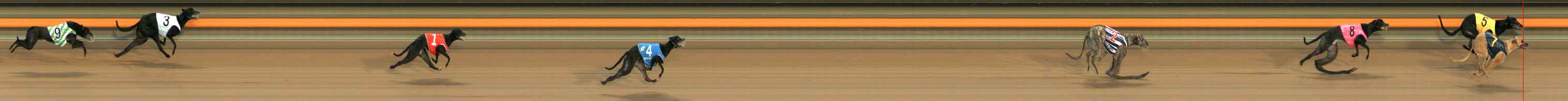 Photo finish for Ballarat Race 1
