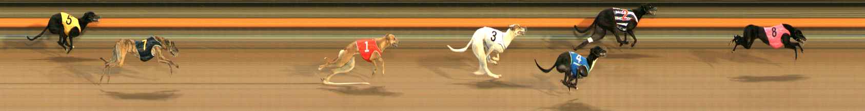 Photo finish for Ballarat Race 2