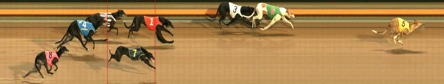Photo finish for Ballarat Race 8
