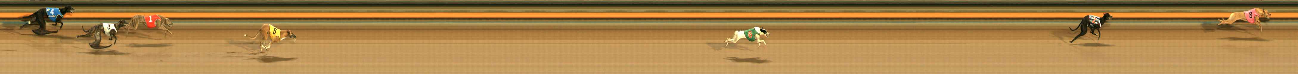 Photo finish for Ballarat Race 4