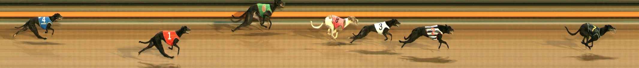Photo finish for Ballarat Race 6