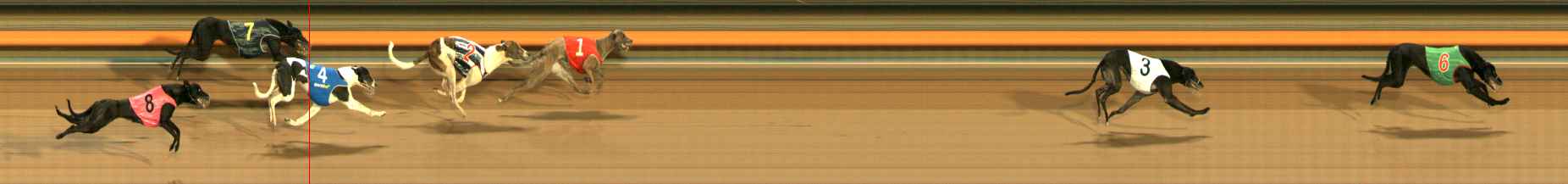 Photo finish for Ballarat Race 8