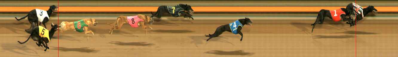 Photo finish for Ballarat Race 11
