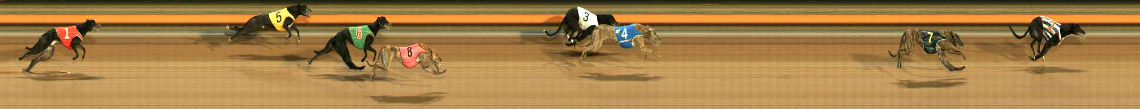 Photo finish for Ballarat Race 12