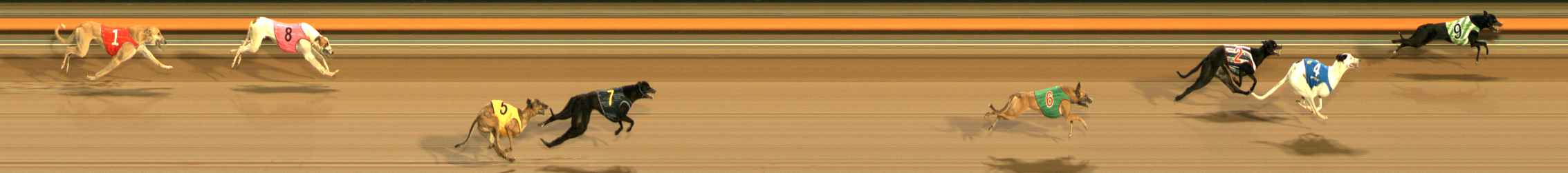 Photo finish for Ballarat Race 3