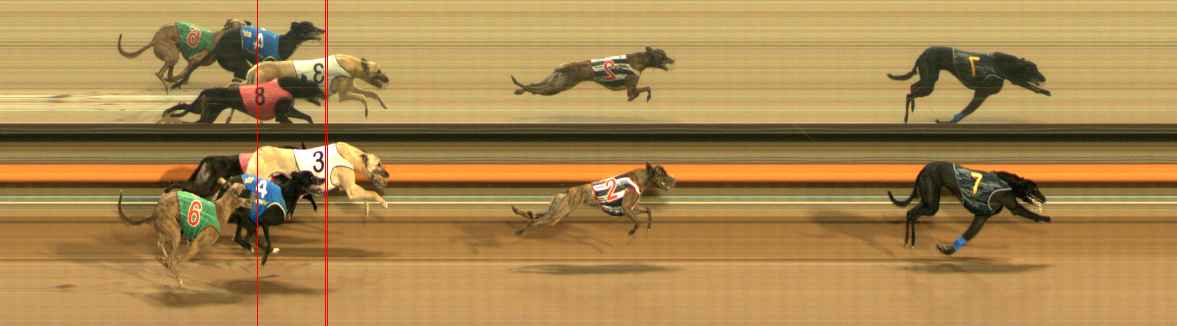 Photo finish for Ballarat Race 5