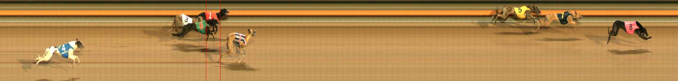 Photo finish for Ballarat Race 10