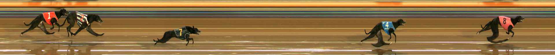 Photo finish for Ballarat Race 1