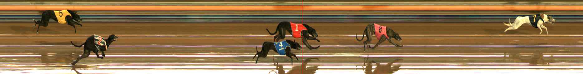 Photo finish for Ballarat Race 2