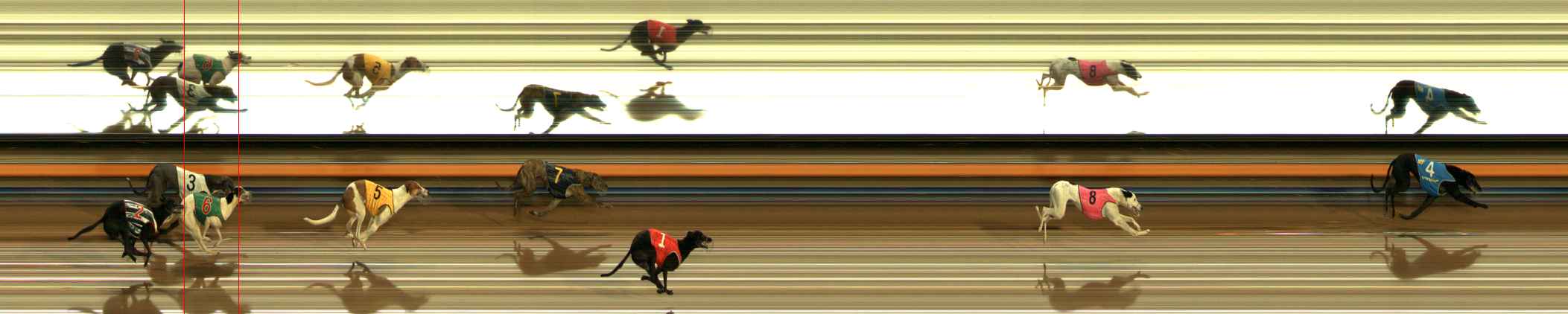 Photo finish for Ballarat Race 3