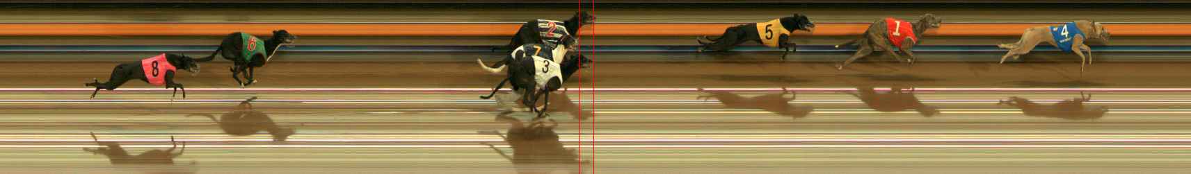 Photo finish for Ballarat Race 4