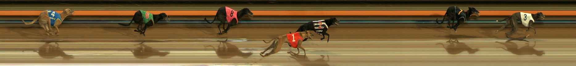 Photo finish for Ballarat Race 5