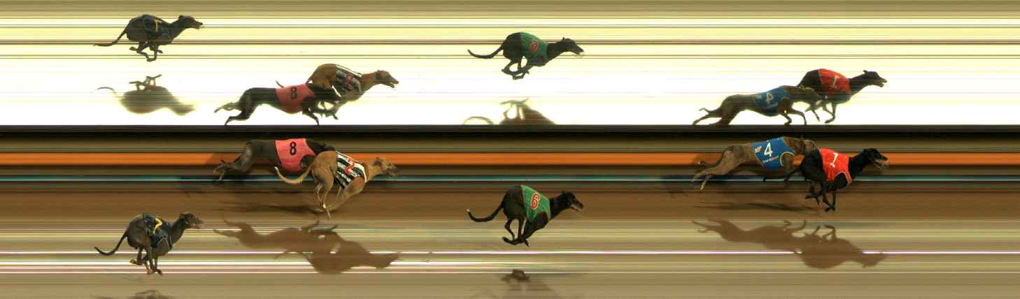 Photo finish for Ballarat Race 6