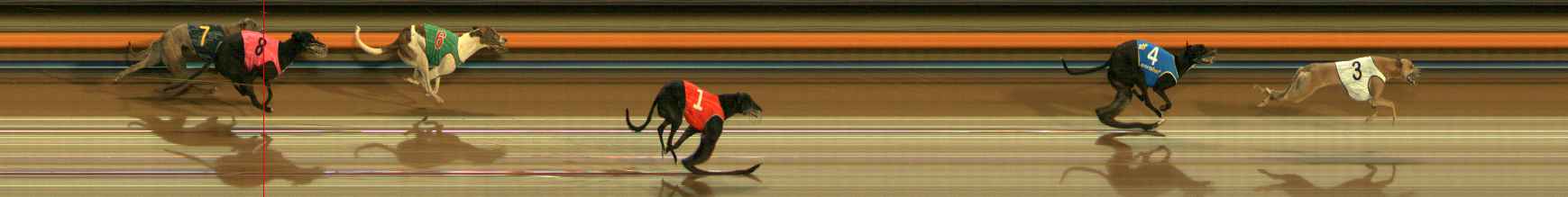 Photo finish for Ballarat Race 7
