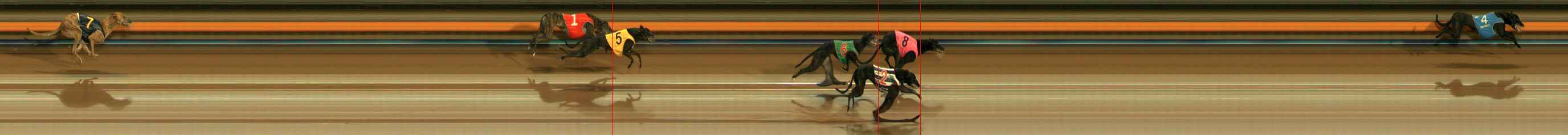 Photo finish for Ballarat Race 10