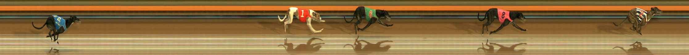 Photo finish for Ballarat Race 11